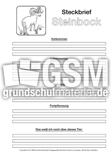 Steinbock-Steckbriefvorlage-sw.pdf